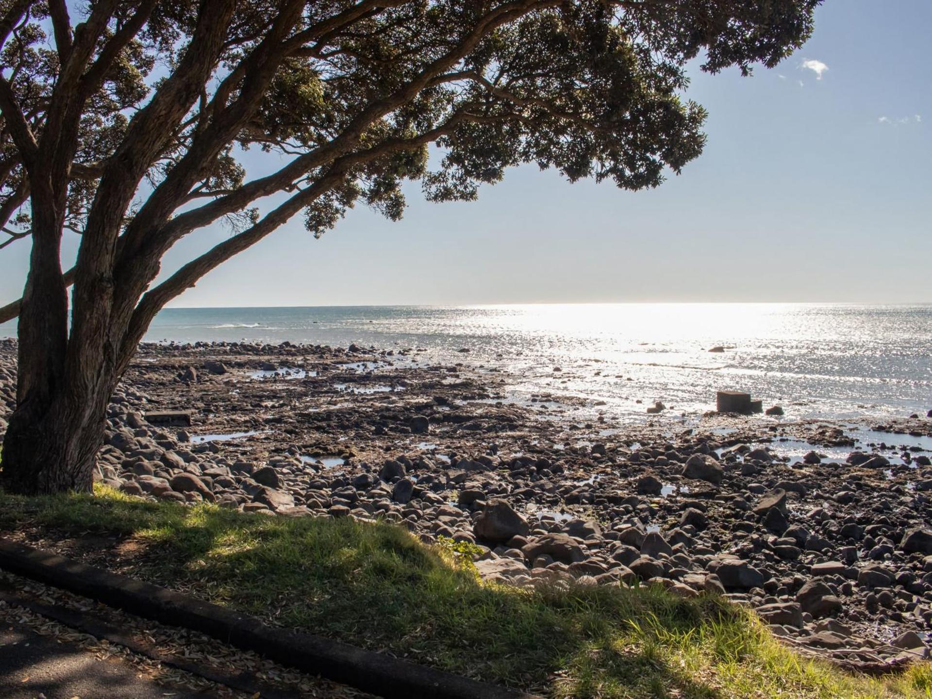 The Coastal Cottage Central City Location New Plymouth Eksteriør billede